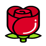 rosas-manta domicilio