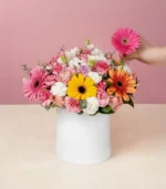 box-colores-con-mano