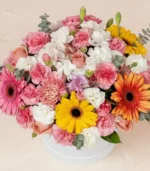 box-colores-vista-detalle