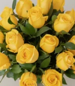 combo-amarillo-detalle